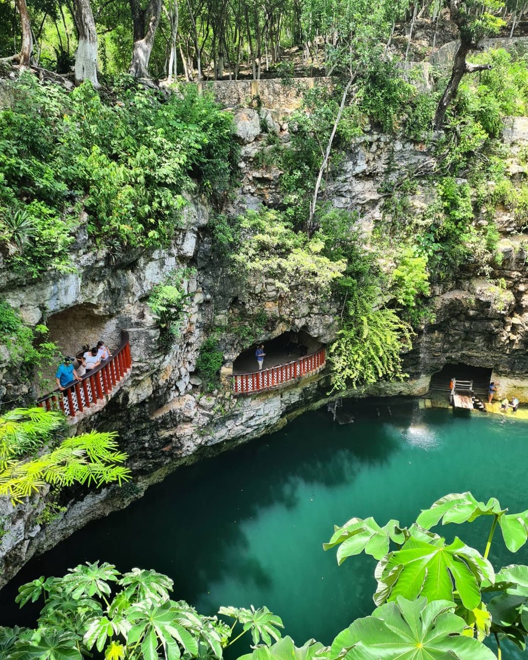 Vista aérea del Cenote Xcajum entre la selva